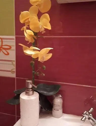 La Vue Marine Ii דירה *